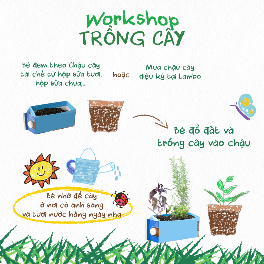 Workshop Trồng cây